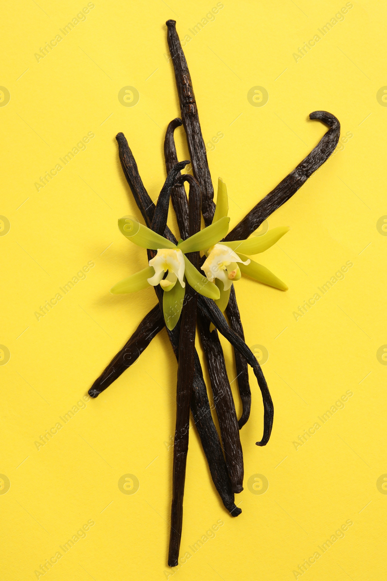 Photo of Vanilla pods and beautiful flowers on yellow background, top view