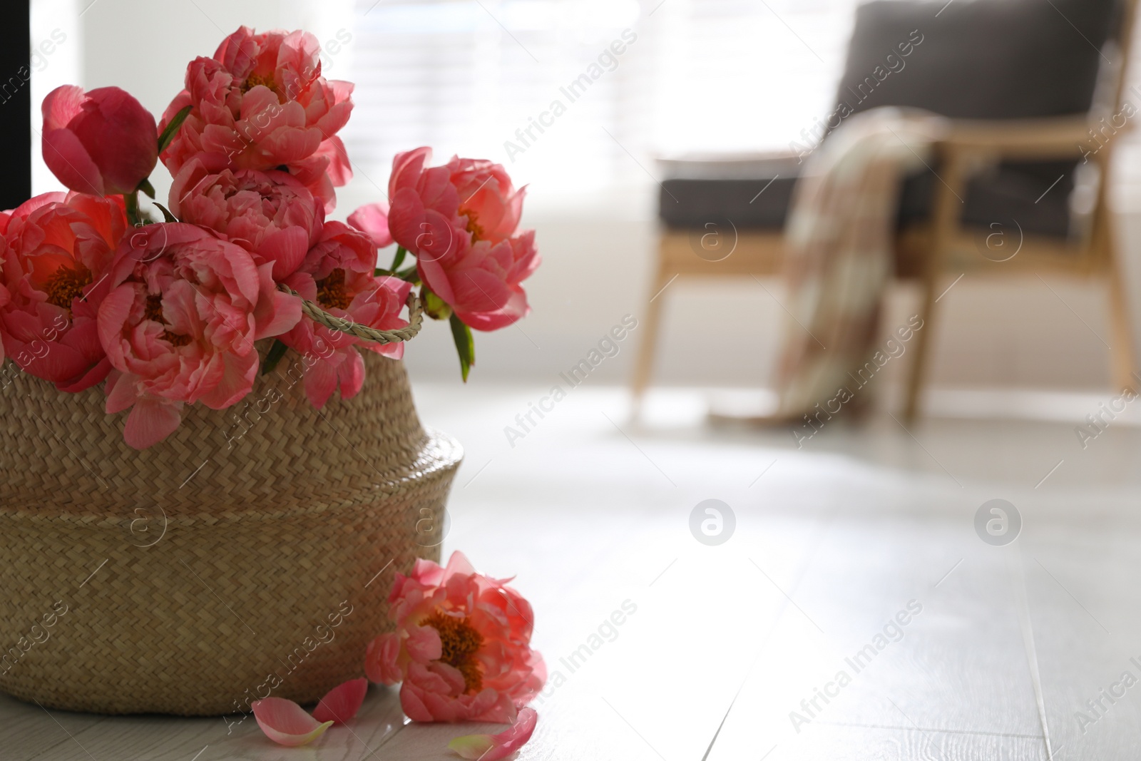 Photo of Beautiful bouquet of fragrant peonies on floor indoors