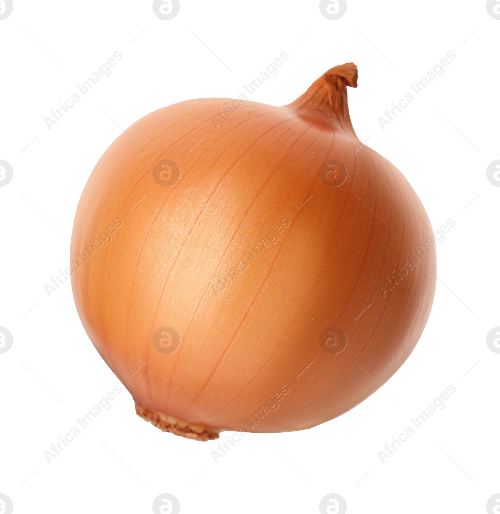 Photo of One ripe onion bulb isolated on white