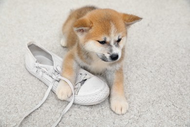 Photo of Cute akita inu puppy playing with shoe on carpet