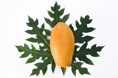 Fresh ripe papaya fruit and leaf on white background, top view