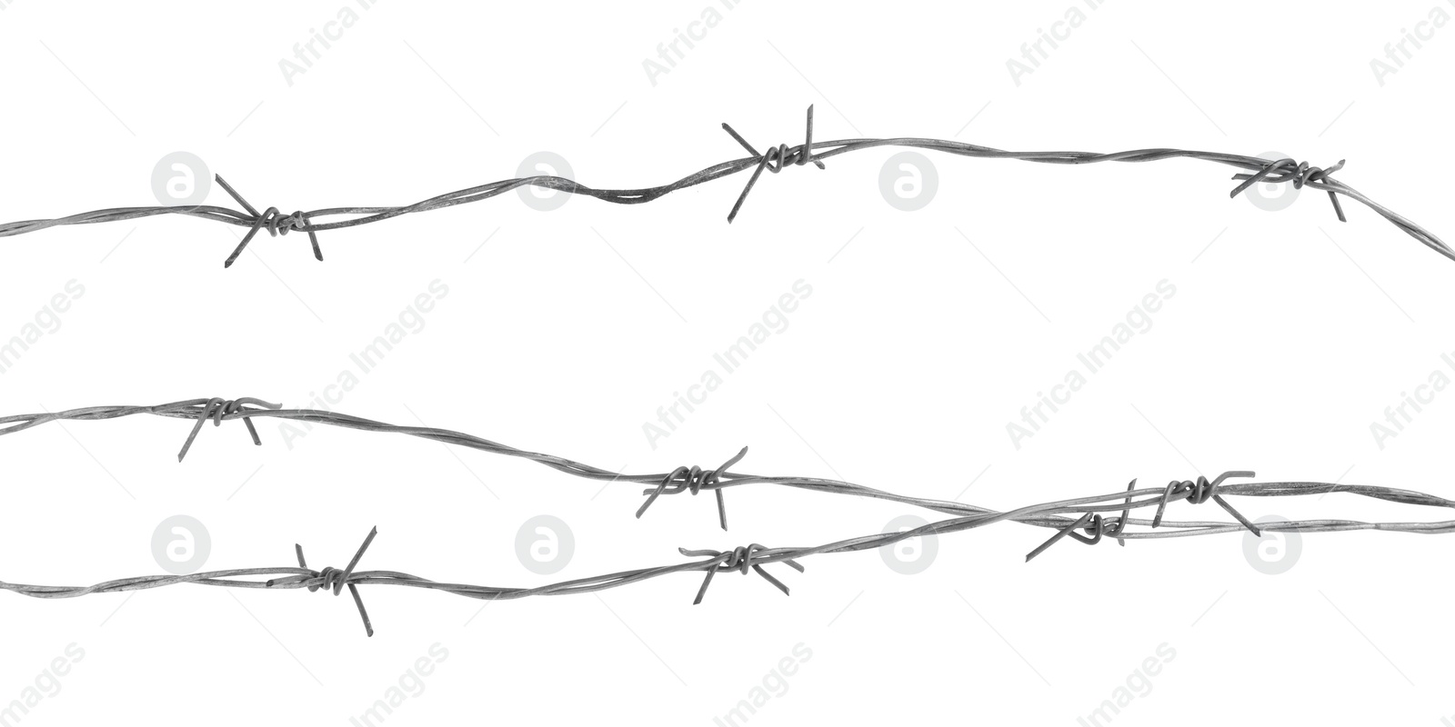 Photo of Shiny metal barbed wire isolated on white