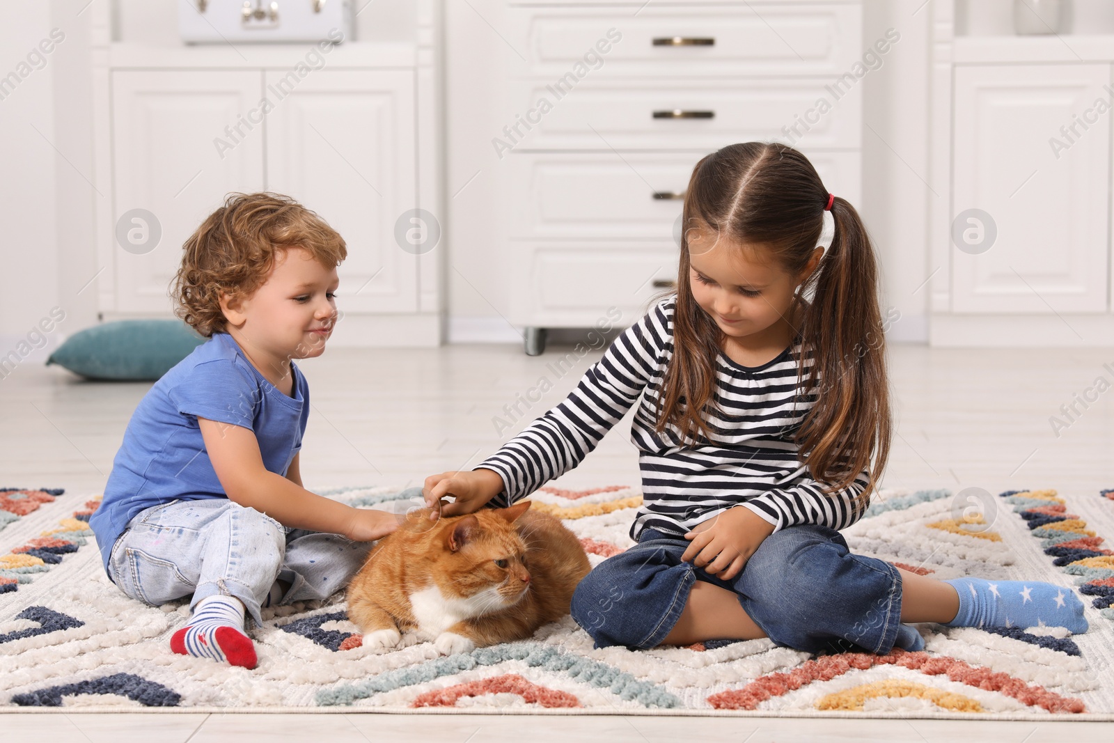 Photo of Little children petting cute ginger cat on carpet at home