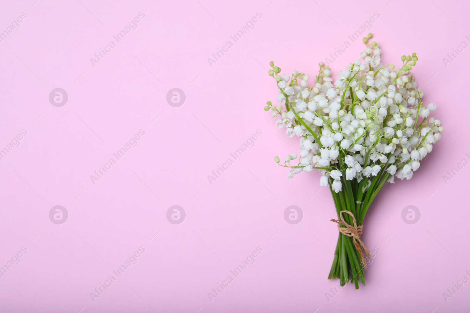 Photo of Beautiful lily of the valley flowers on pink background, top view. Space for text