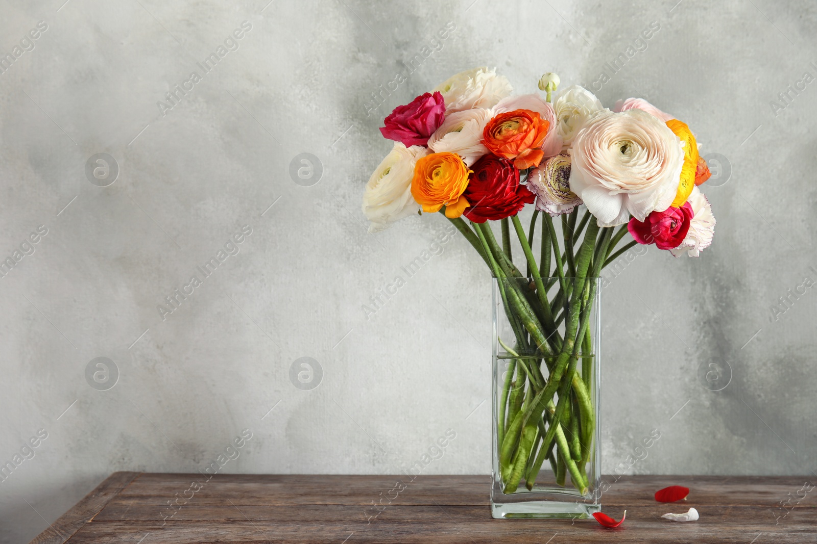 Photo of Vase with beautiful spring ranunculus flowers on wooden table, space for text