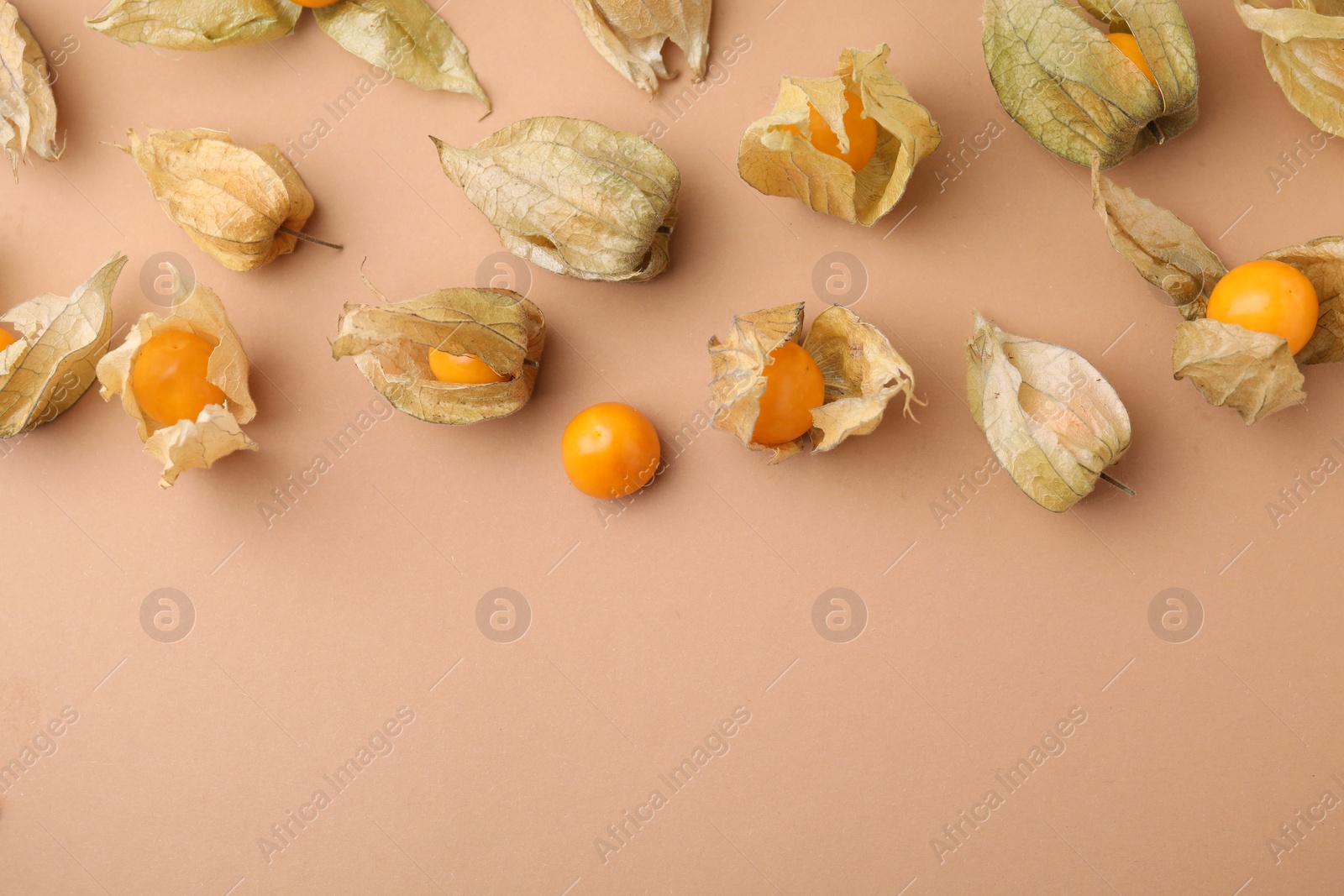 Photo of Ripe physalis fruits with calyxes on beige background, flat lay. Space for text
