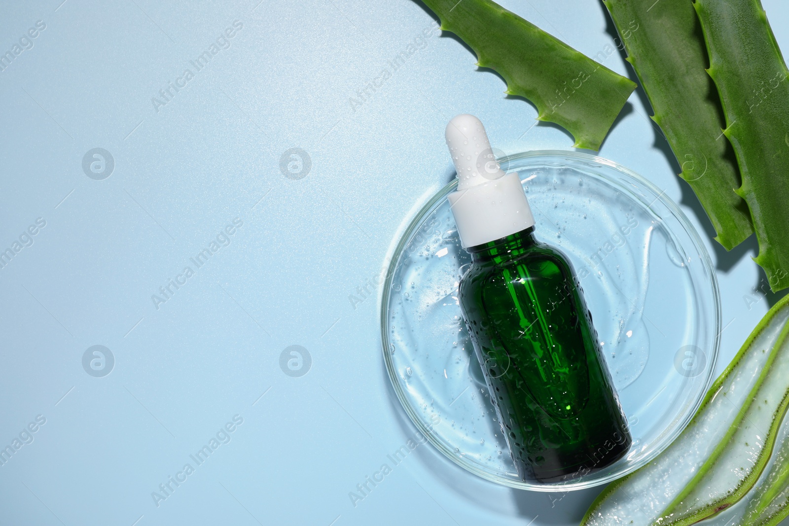 Photo of Petri dish with cosmetic products and aloe vera leaves on light blue background, flat lay. Space for text