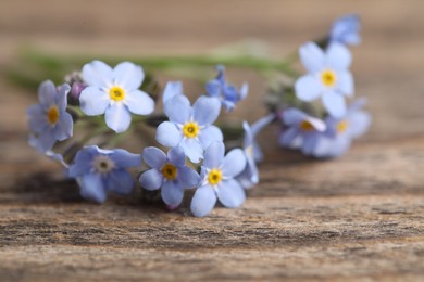 Photo of Beautiful forget-me-not flowers on wooden background, closeup