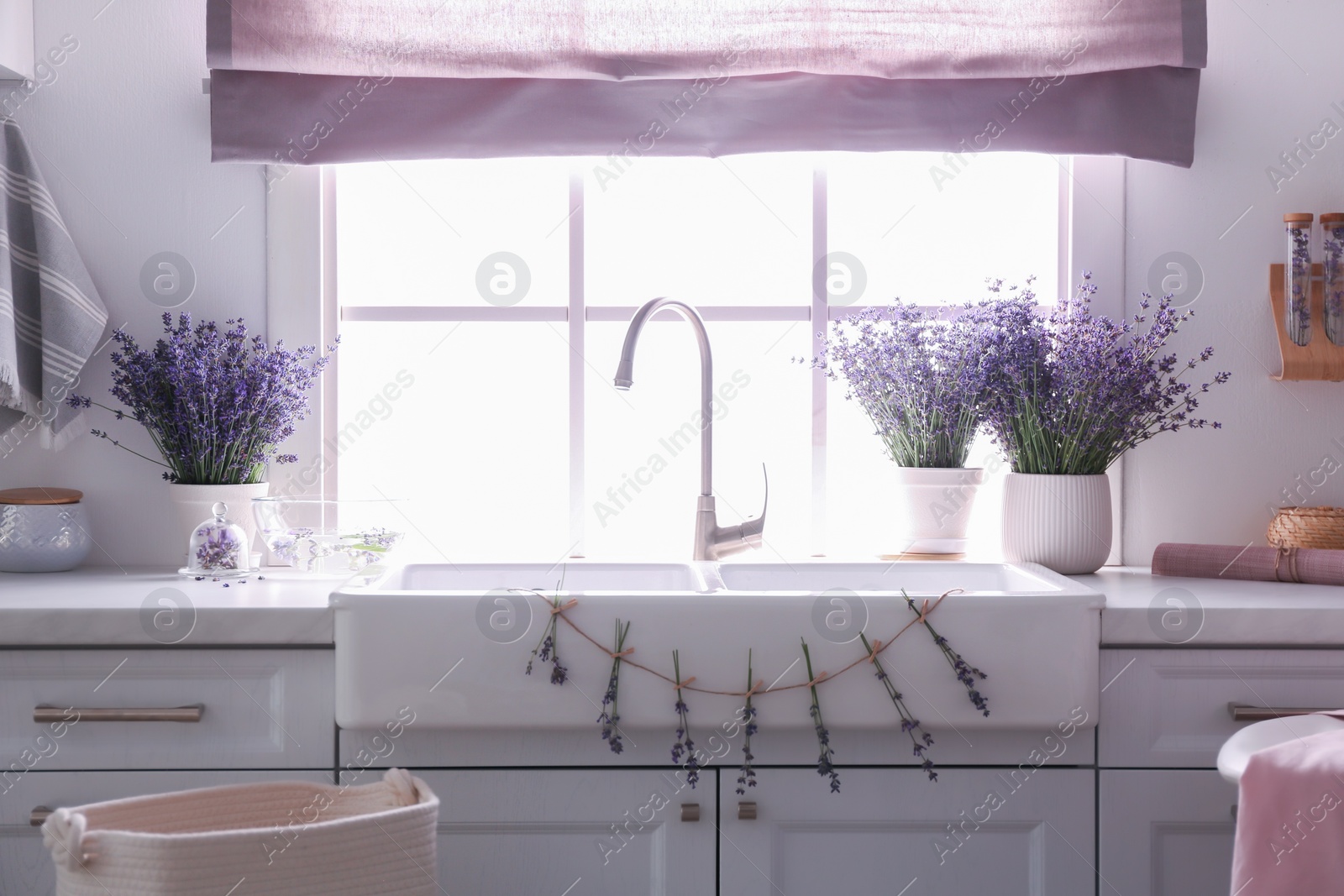 Photo of Beautiful lavender flowers on countertop near sink in kitchen