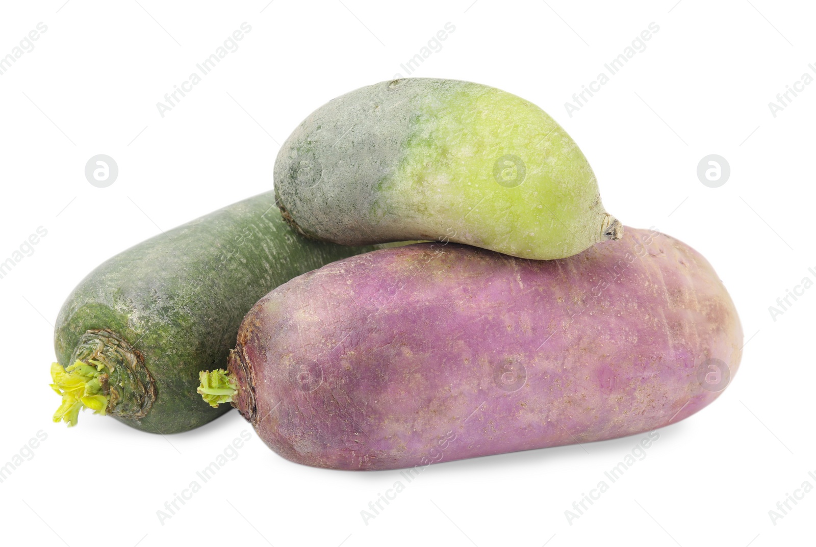 Photo of Purple and green daikon radishes isolated on white