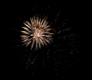 Image of Beautiful bright fireworks lighting up night sky