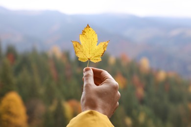 Photo of Woman holding beautiful autumn leaf in mountains, closeup