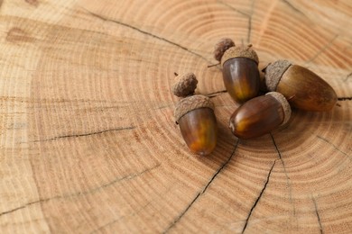 Photo of Many acorns on tree stump, space for text