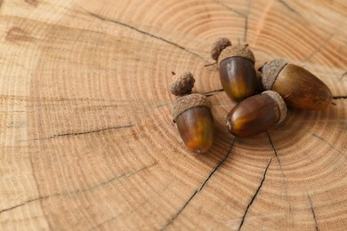 Many acorns on tree stump, space for text