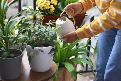 Woman watering beautiful potted houseplants on balcony, closeup