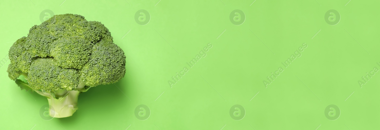 Image of Top view of fresh broccoli on green background, space for text. Banner design 