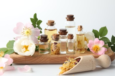 Photo of Aromatherapy. Different essential oils, flowers and green leaves on white background