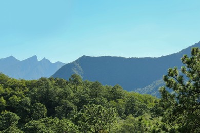 Photo of Picturesque view of high mountains and trees