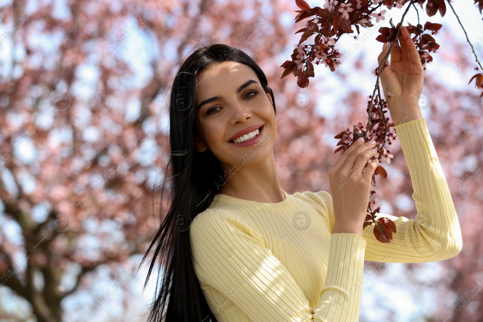 Photo of Pretty young woman near beautiful blossoming trees outdoors. Stylish spring look