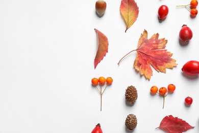 Beautiful composition with autumn leaves on white background, flat lay. Space for text