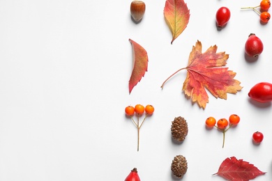 Photo of Beautiful composition with autumn leaves on white background, flat lay. Space for text