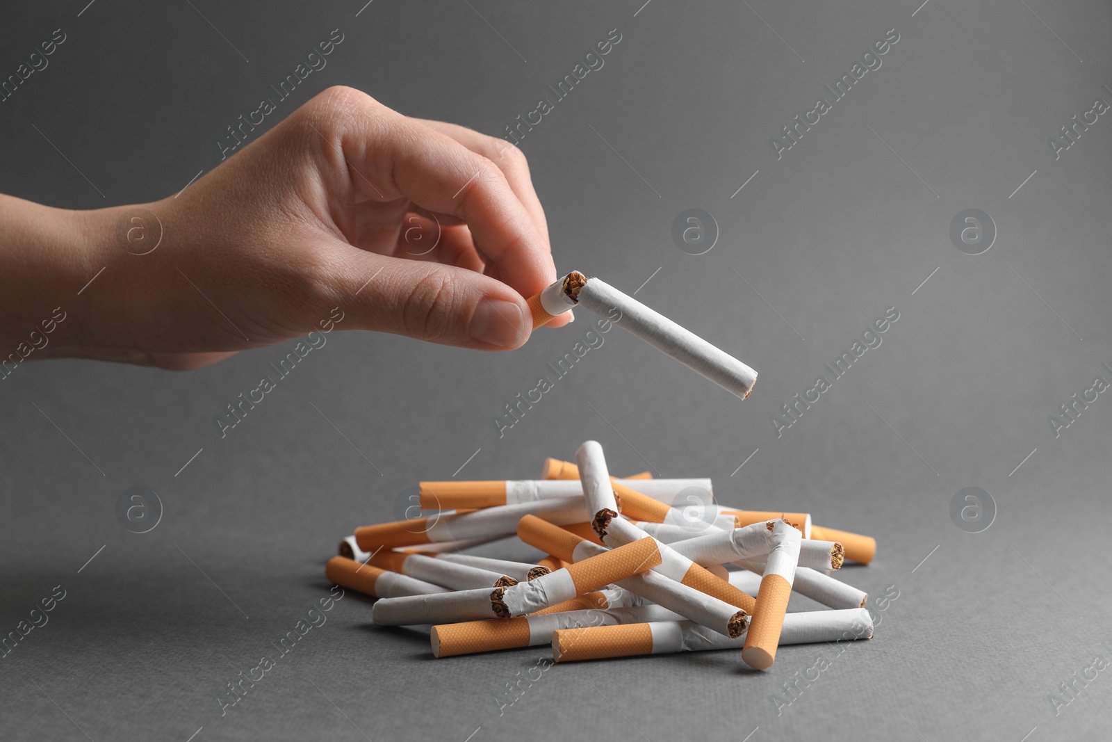 Photo of Stop smoking. Woman holding broken cigarette over pile on grey background, closeup