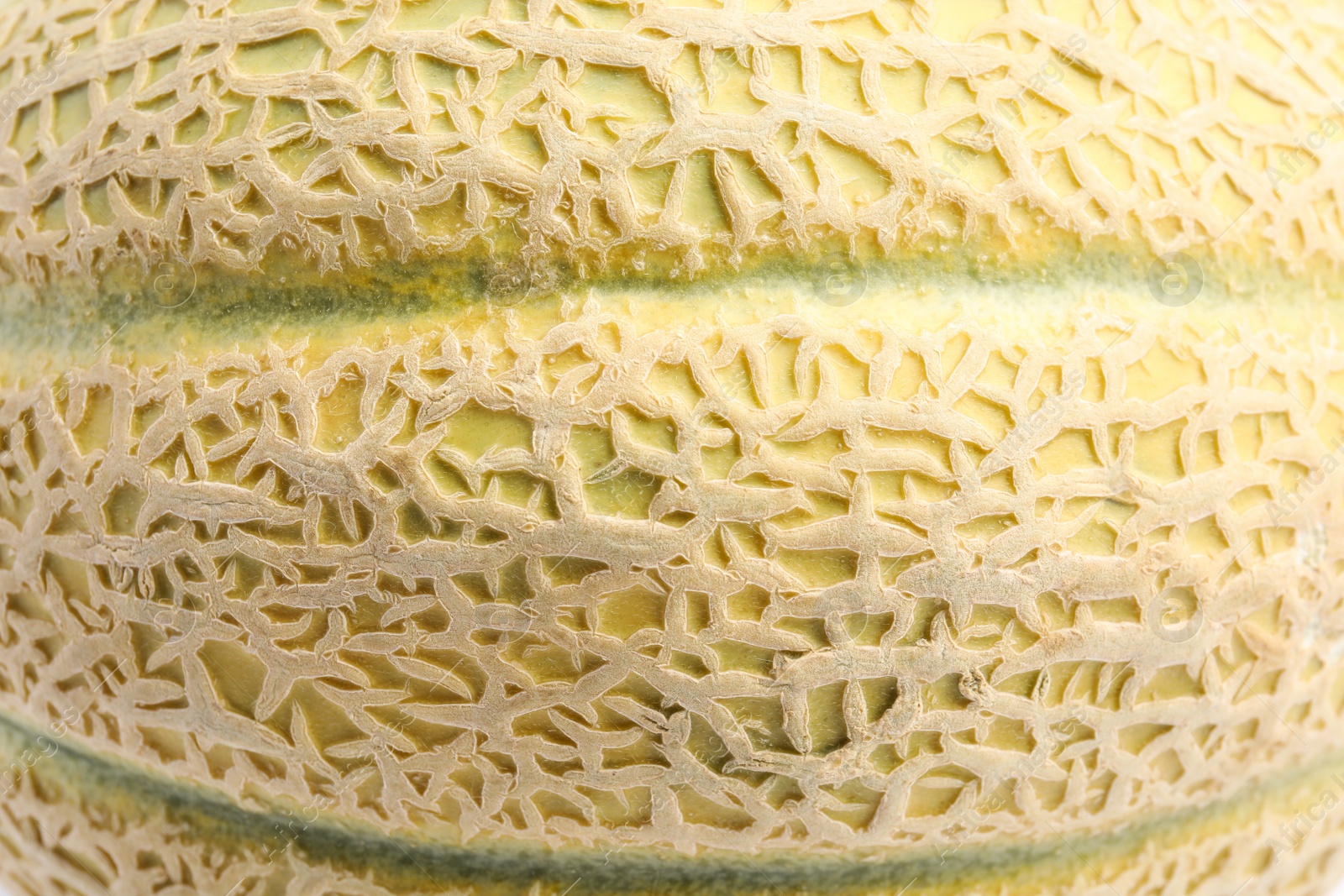 Photo of Tasty fresh ripe melon as background, closeup