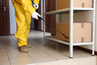 Photo of Pest control worker spraying pesticide on rack indoors, closeup