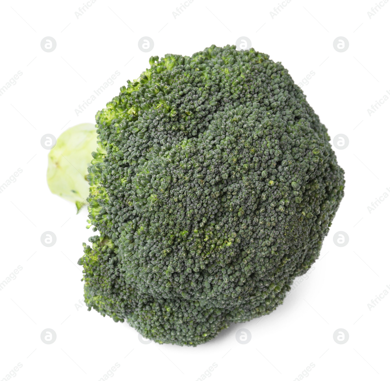 Photo of Fresh raw green broccoli isolated on white