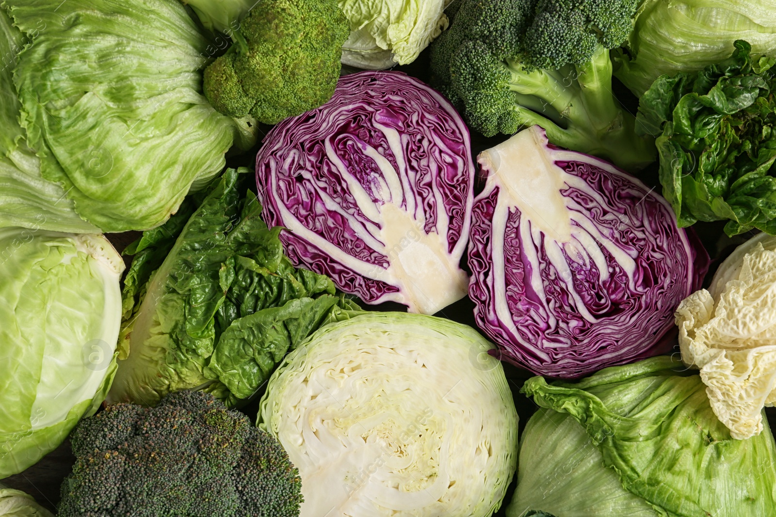 Photo of Different types of cabbage as background, top view