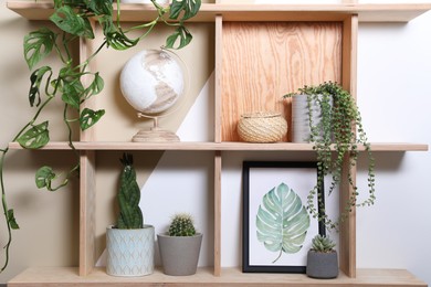 Photo of Wooden shelving unit with interior accessories and houseplants on color wall