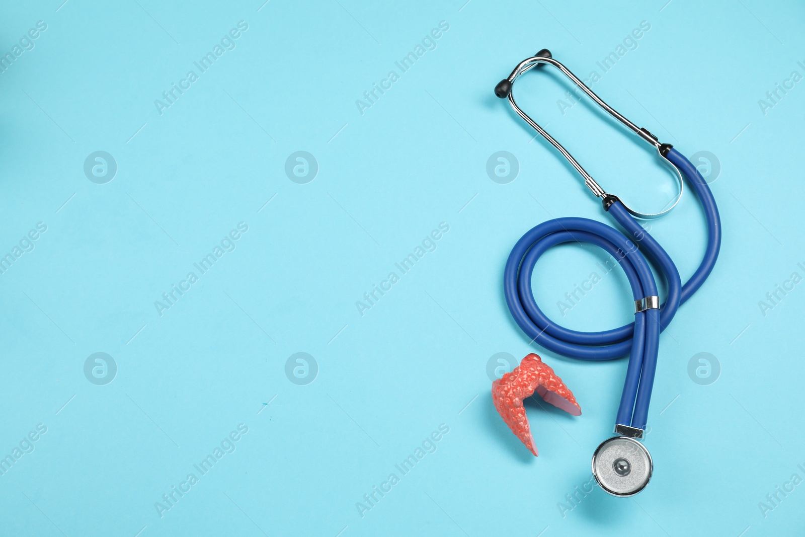 Photo of Endocrinology. Stethoscope and model of thyroid gland on light blue background, top view. Space for text