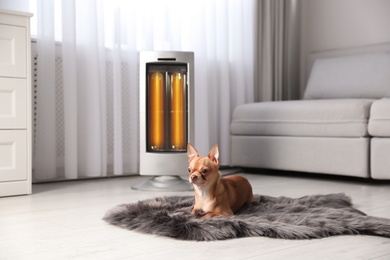 Photo of Chihuahua dog lying on faux fur near electric heater in living room