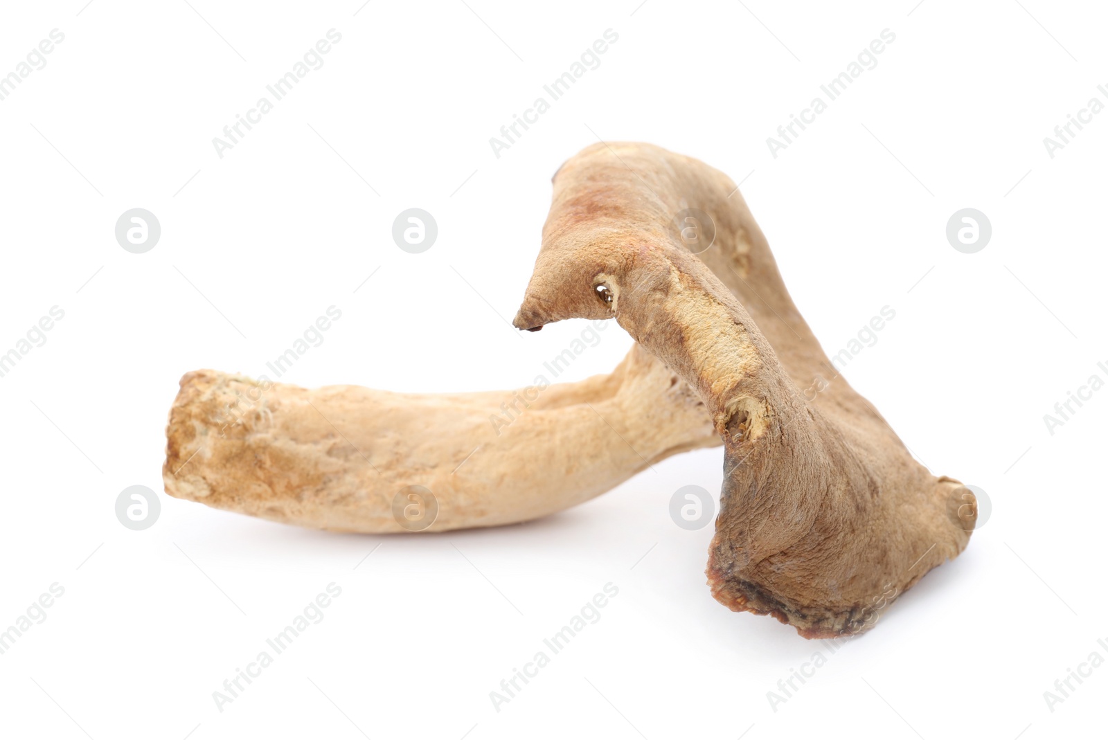 Photo of Dried aromatic chanterelle mushroom isolated on white