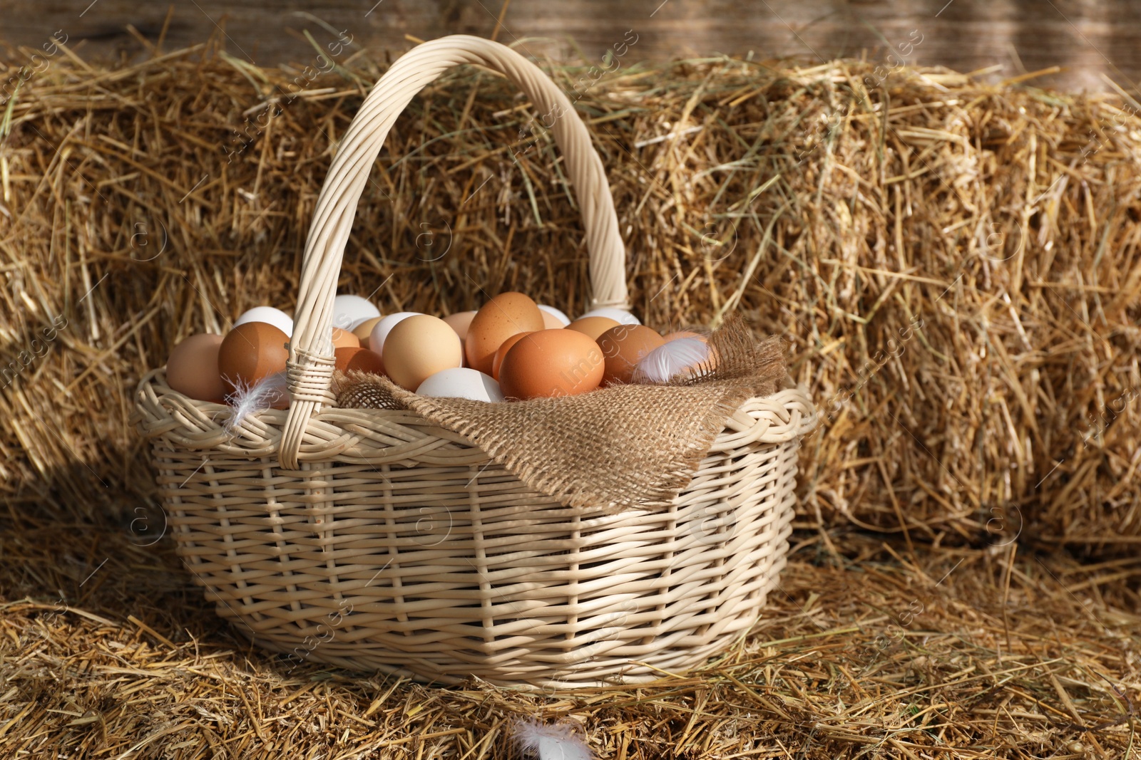 Photo of Fresh chicken eggs in wicker basket on dried straw bale