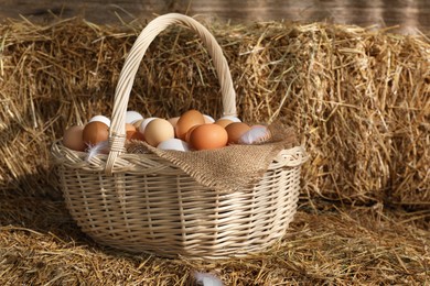 Fresh chicken eggs in wicker basket on dried straw bale