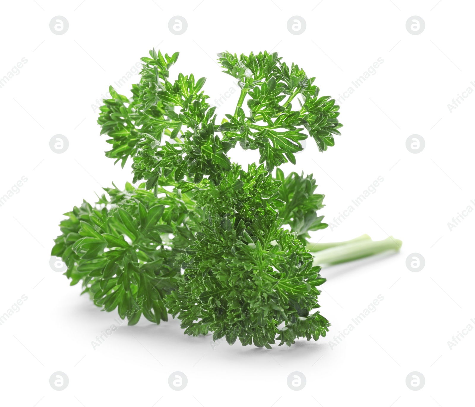 Photo of Fresh green parsley on white background