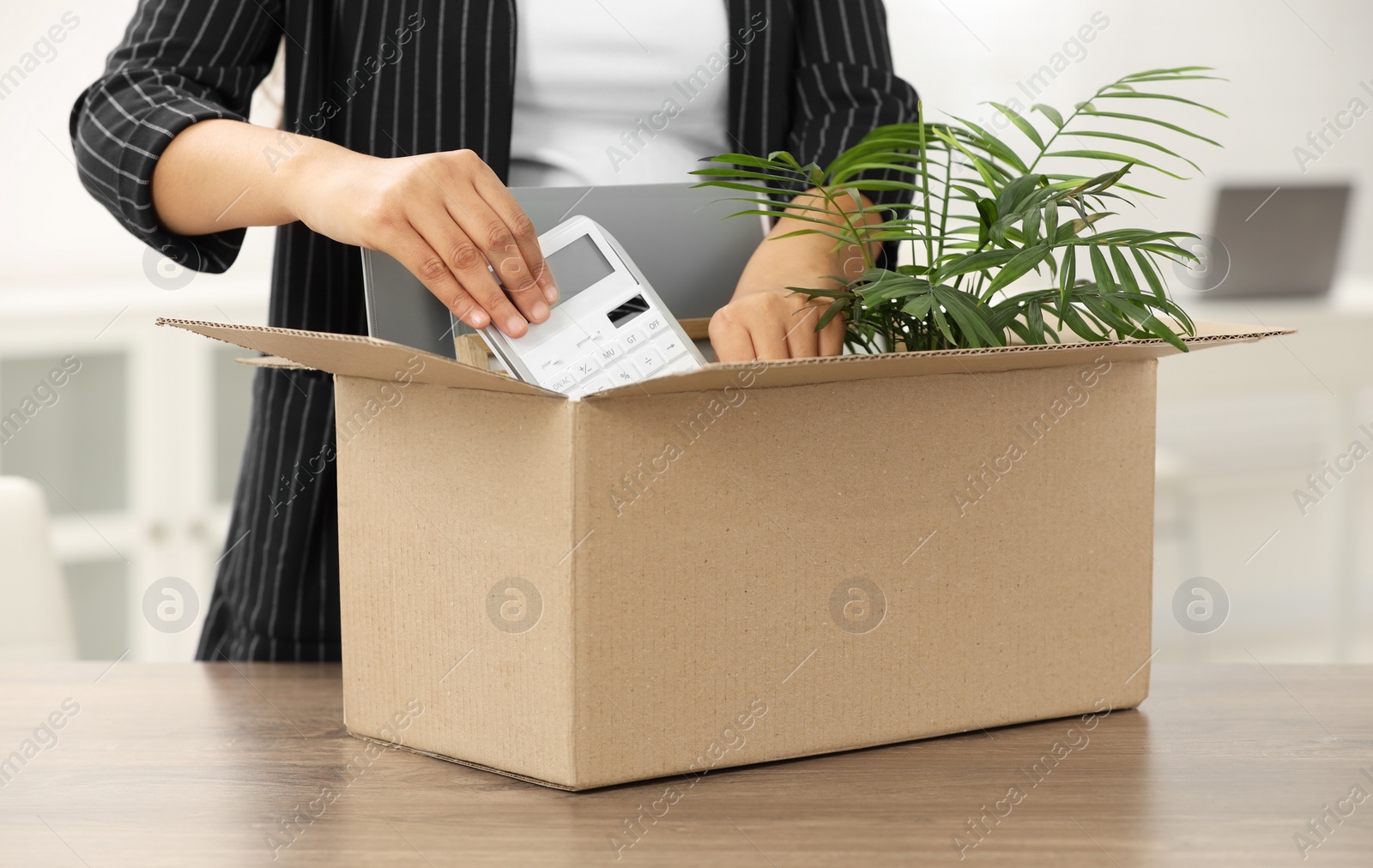 Photo of Unemployment problem. Woman with box of personal belongings at table in office, closeup