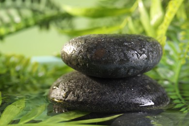 Photo of Wet spa stones on blurred background, closeup