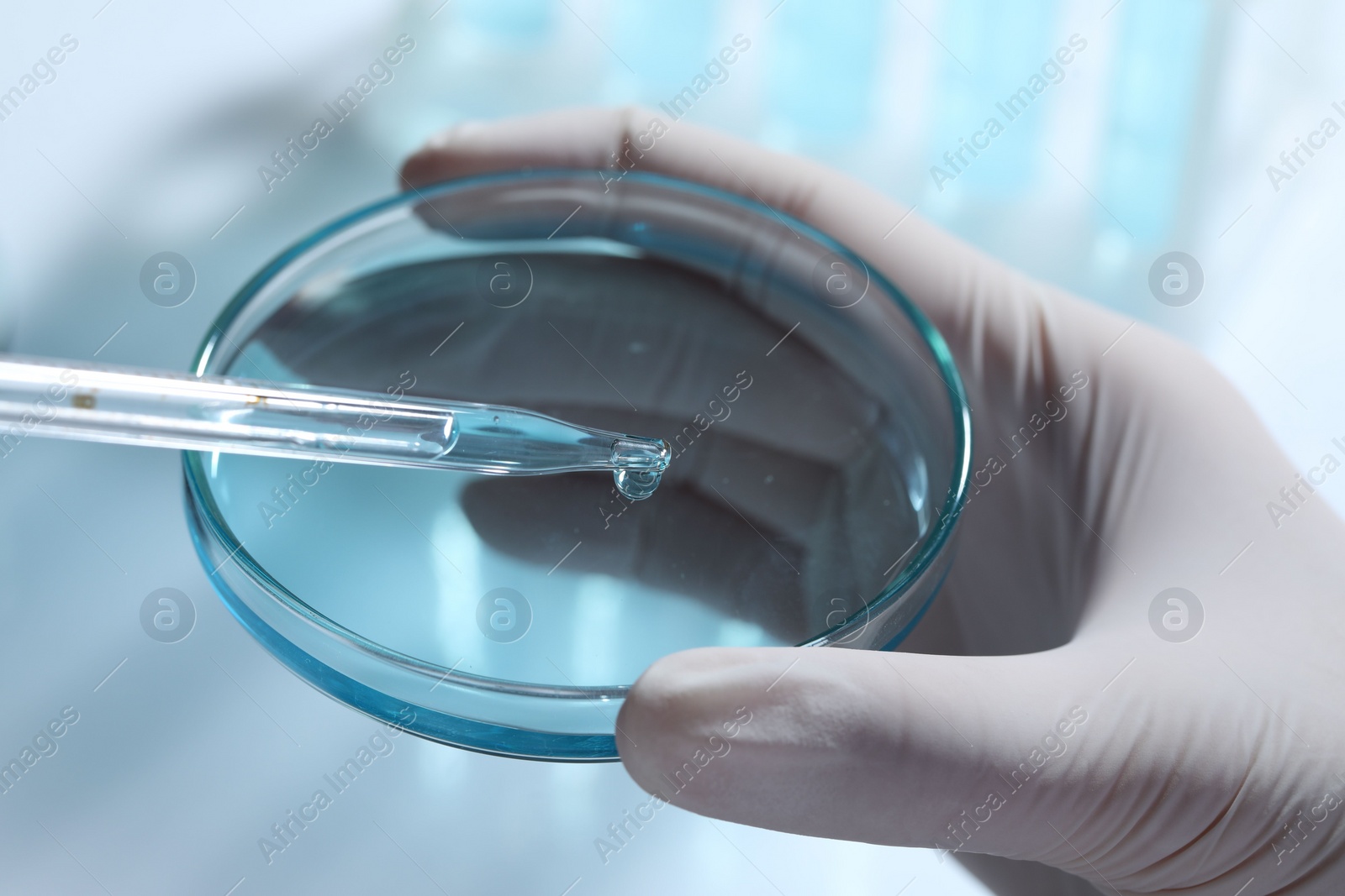 Photo of Scientist dripping liquid from pipette into petri dish on light background, closeup