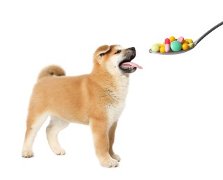 Image of Vitamins for pets. Cute dog and spoon with different pills on white background