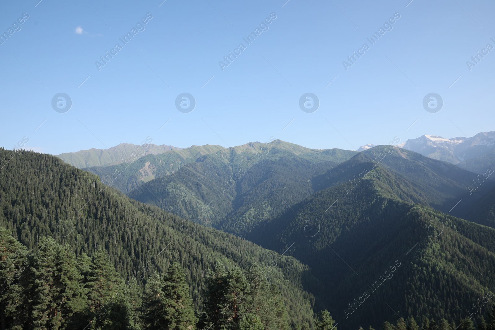 Photo of Aerial view of beautiful landscape with mountain forest on sunny day