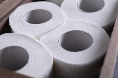 Many toilet paper rolls in crate, closeup