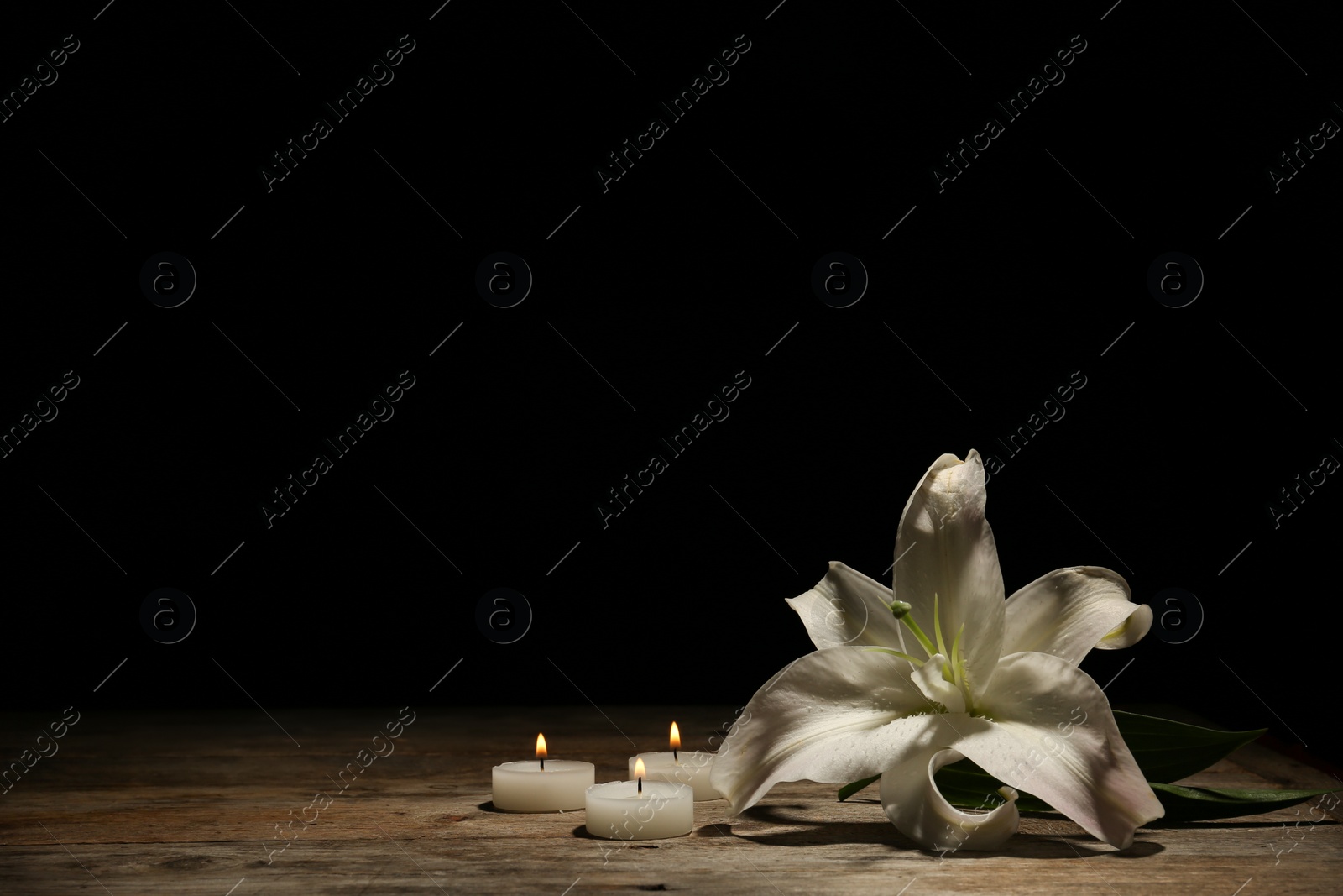 Photo of Beautiful lily and burning candles on dark background with space for text. Funeral flower