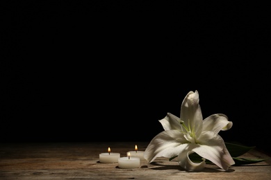 Photo of Beautiful lily and burning candles on dark background with space for text. Funeral flower