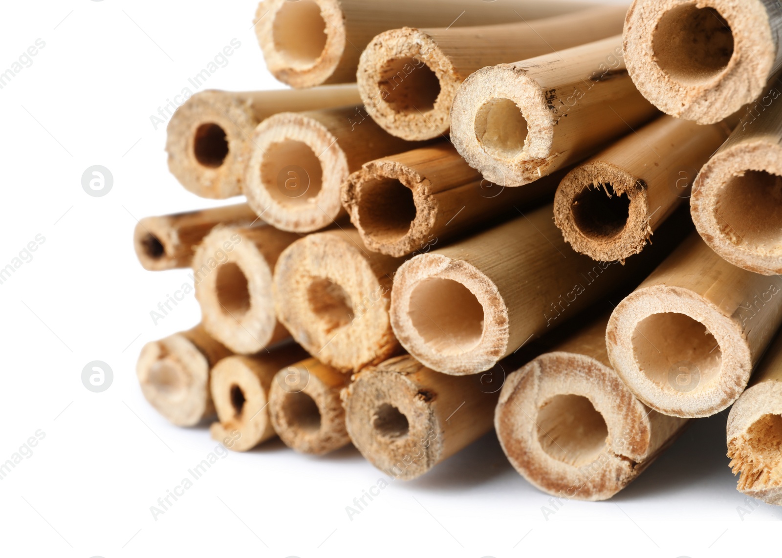 Photo of Pile of dry bamboo sticks on white background