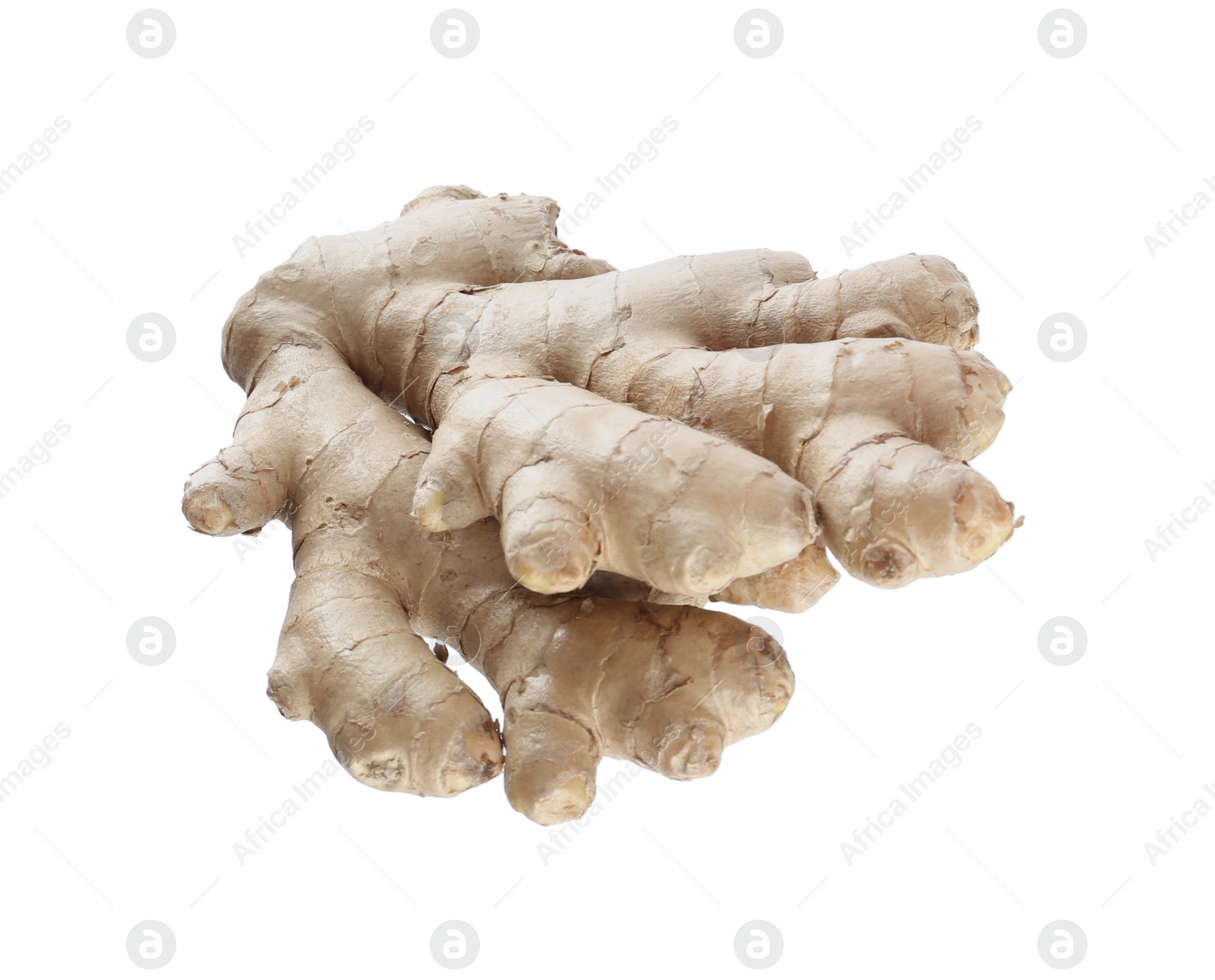 Photo of Whole fresh ginger root isolated on white