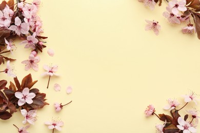 Spring tree branches with beautiful blossoms, flowers and petals on yellow background, flat lay. Space for text