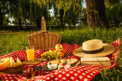 Photo of Picnic blanket with delicious food and juice in park