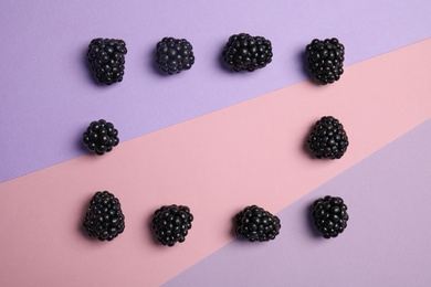 Flat lay composition with ripe blackberries on color background